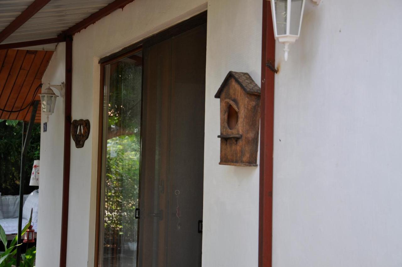 Bed and Breakfast Cirali Kus Yuvasi Esterno foto