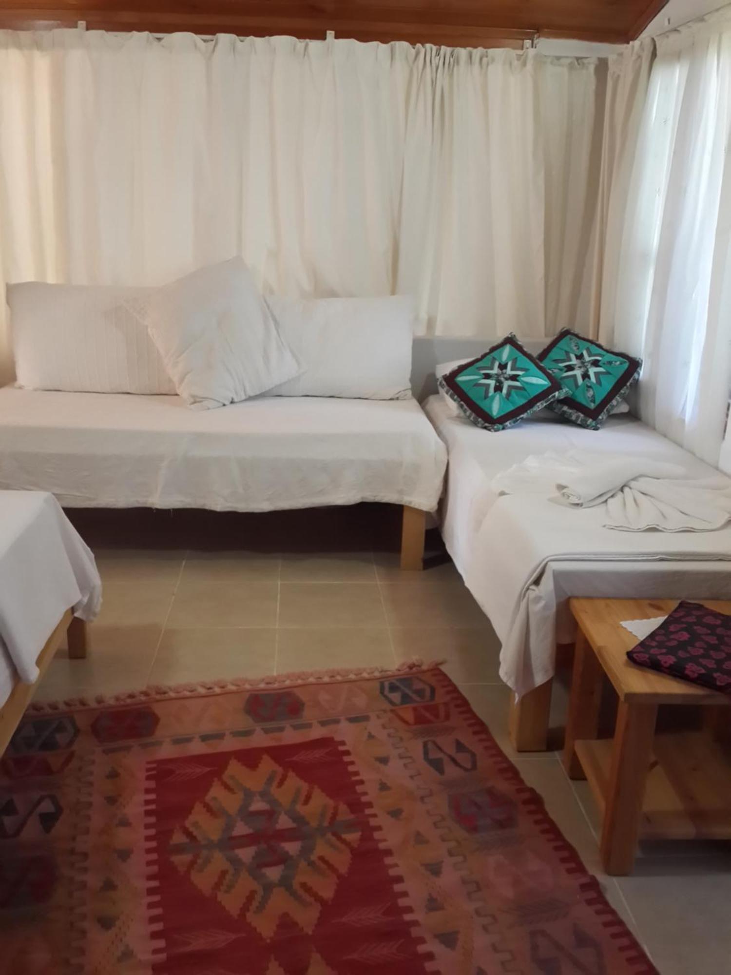 Bed and Breakfast Cirali Kus Yuvasi Camera foto